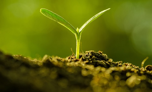 為避免誤導用戶，便攜式土壤水分速測儀使用需注意