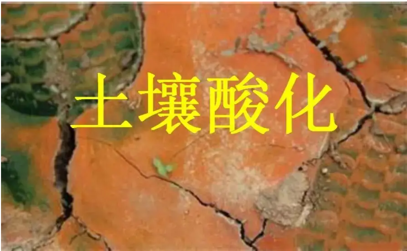 識別土壤“病”，土壤測試儀器是如何提高土壤免疫力的？