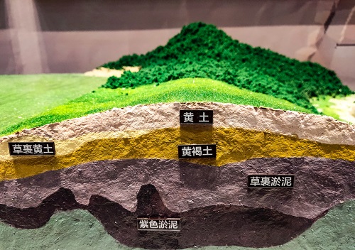如何了解土壤現狀？土壤肥料養分檢測儀助你掌握土壤狀況
