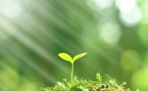 推廣測土配方施肥技術(shù)的有哪些好處？