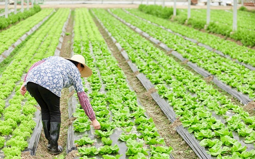 土壤水分監測、精細土壤監測、精細土壤改良，只需要一臺土壤檢測儀