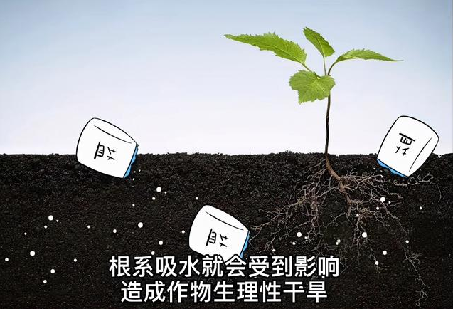 土壤EC值和pH值與作物生長的關系，利用土壤鹽分儀緩解土壤鹽漬化
