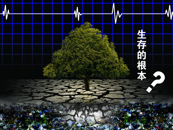 土壤重金屬嚴重超標，土壤修復離不開土壤檢測儀
