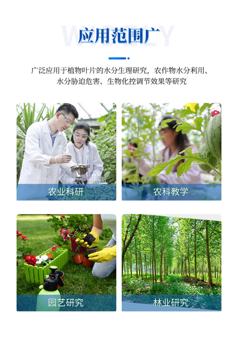植物蒸騰速率測定儀
